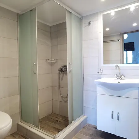 Apartment Vlycha *