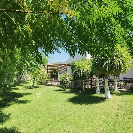 Apartmán Vlycha *