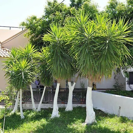 维查海滩公寓酒店 公寓 *