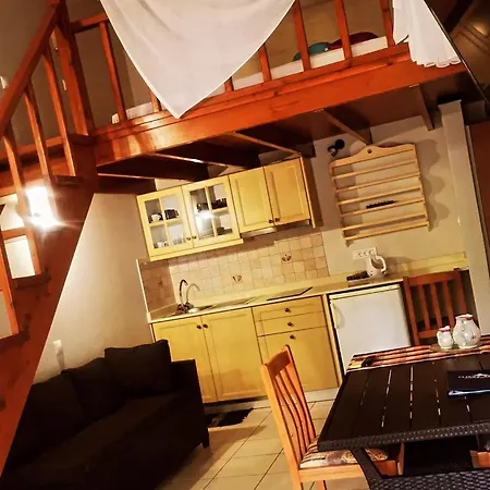 Apartment Vlycha *
