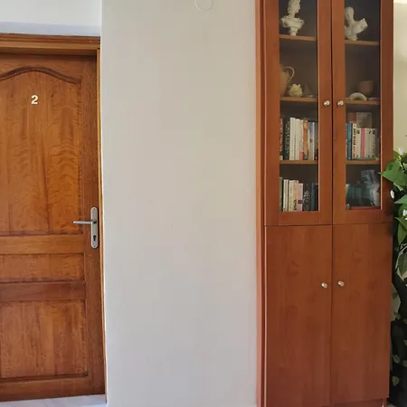 Apartment Vlycha *