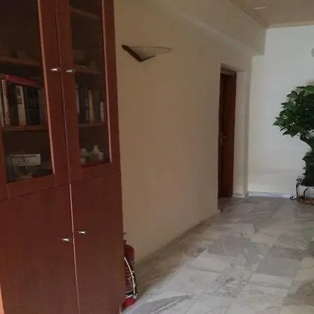 Apartment Vlycha